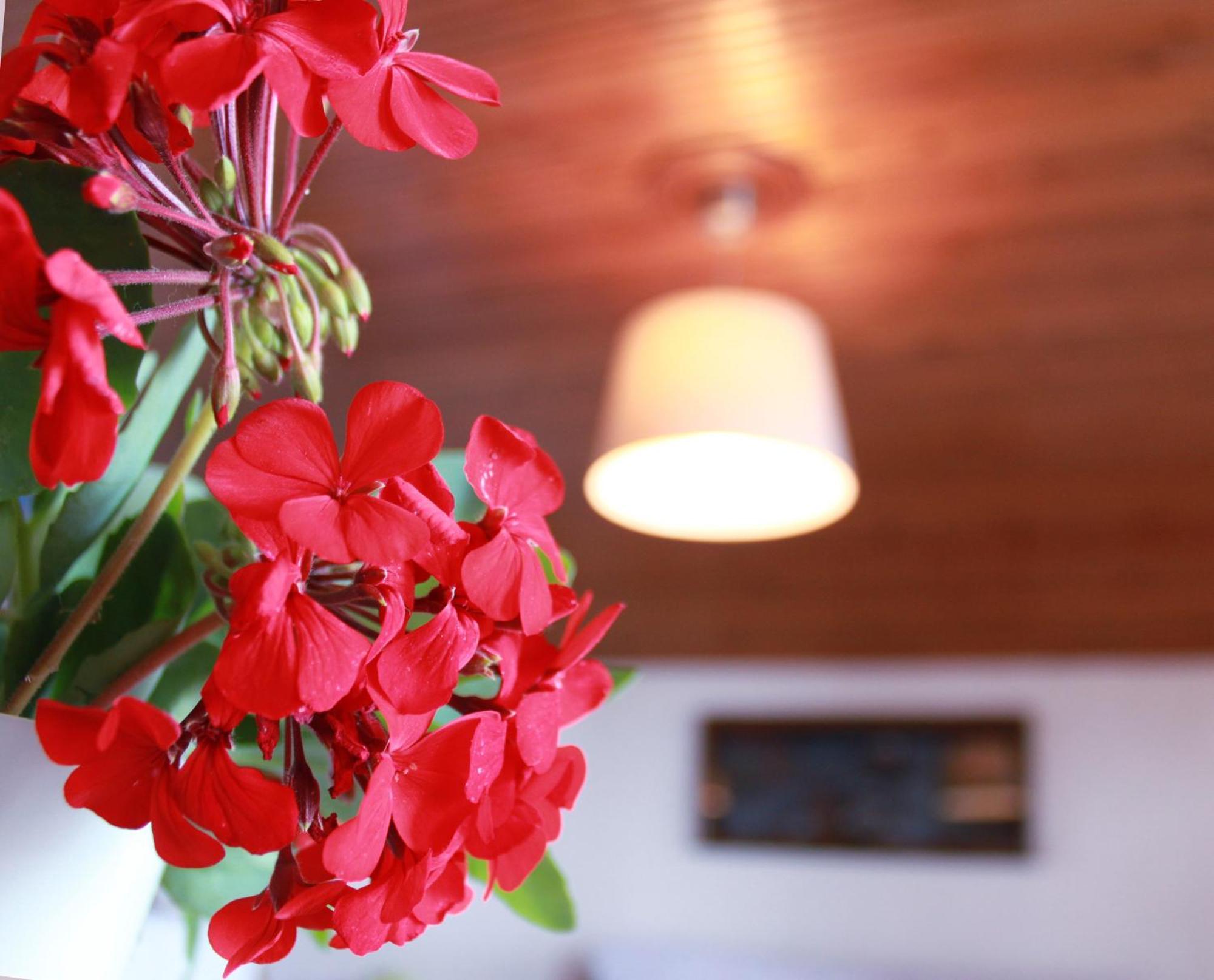 Kehagias Apartments เนอาวรัสนา ภายนอก รูปภาพ